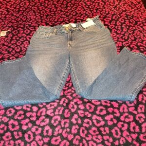 Hollister Women's Straight Leg Blue Jeans